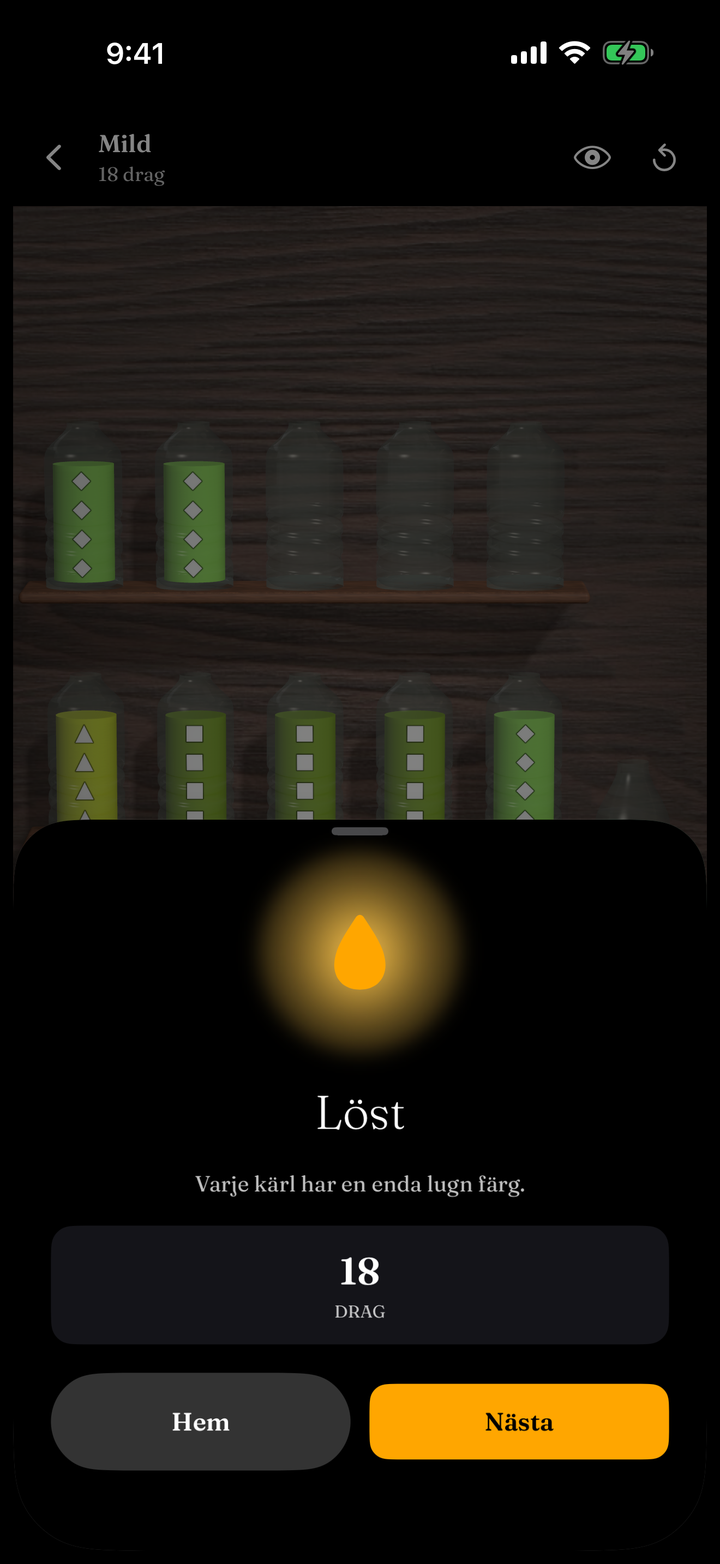 A solved board with the win sheet, every vessel one colour